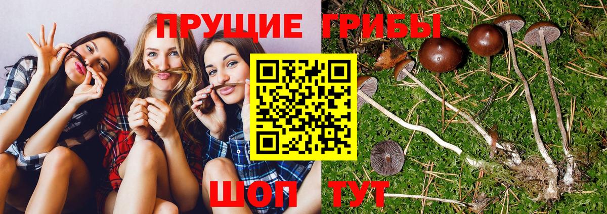ГАШИШ  МАРИХУАНА  МДМА  Меф МЯУ МЯУ   КЕТАМИН  Вход с VPN  Cocaine  Новороссийск  Меф 