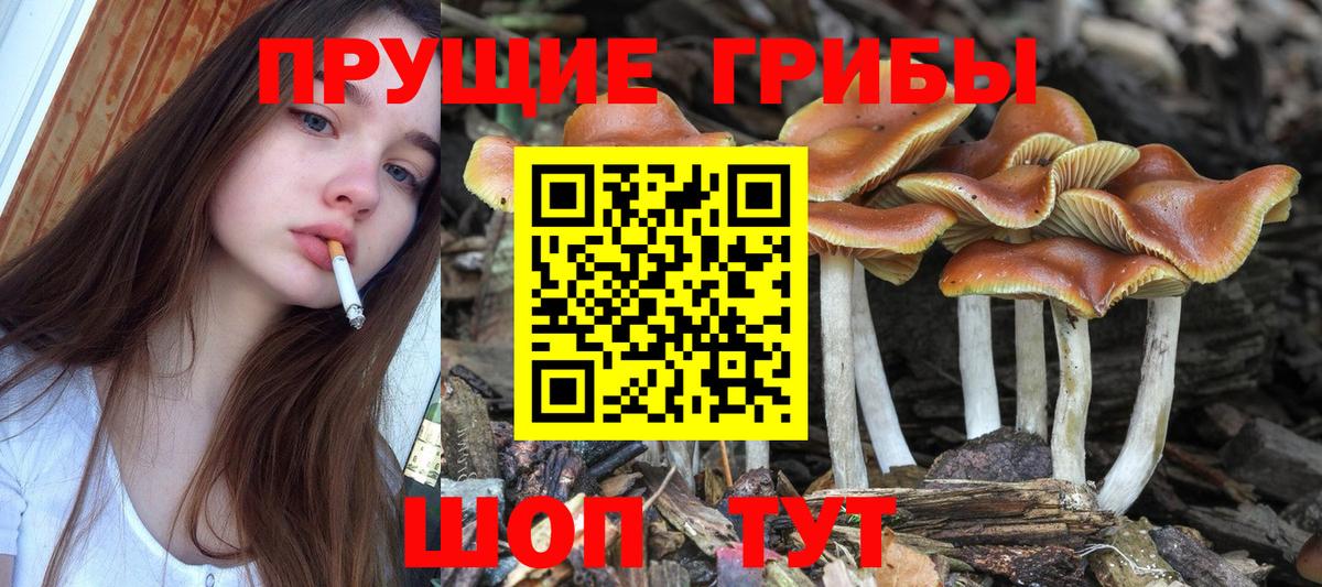 Псилоцибиновые грибы мухоморы  Вход с VPN  Новороссийск  купить   Галлюциногенные грибы ЛСД 