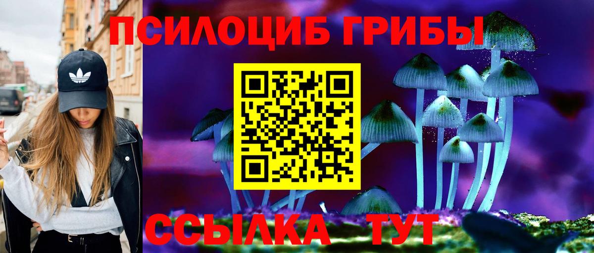 Псилоцибиновые грибы MAGIC MUSHROOMS Новороссийск